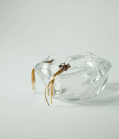 Pendientes Mosca Rockera 3